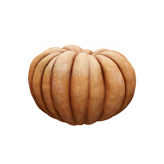 Cleaned Pumpkin 3D Scan