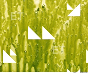 paint splatter green 0034