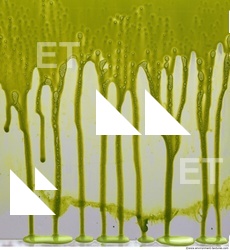 paint splatter green 0036