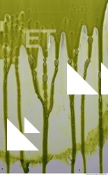 paint splatter green 0038