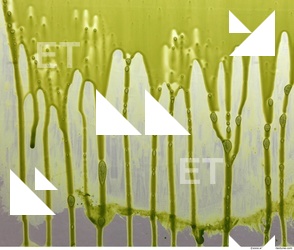 paint splatter green 0040