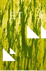 paint splatter green 0045