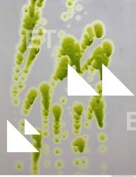 paint splatter green 0046