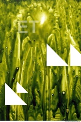 paint splatter green 0025