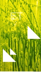 paint splatter green 0051