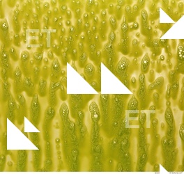 paint splatter green 0075