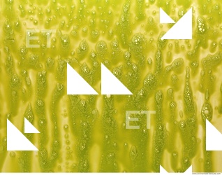 paint splatter green 0080