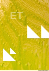 paint splatter green 0082