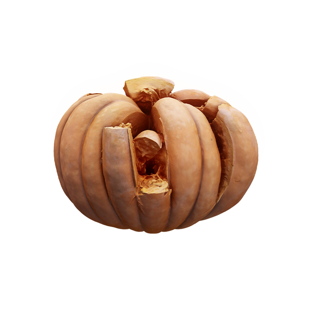 Cleaned Pumpkin Crashed 3D Scan