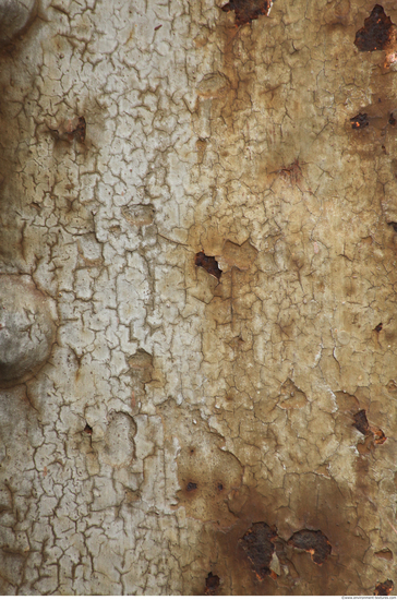 Peeling Rusted