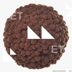 christmas decoration 0012