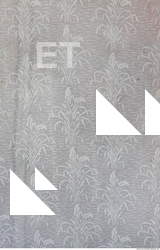 Wall Plaster Painted