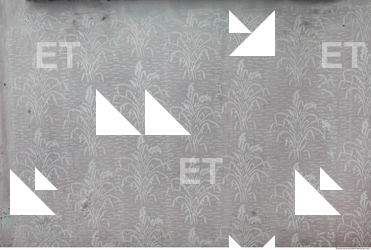 Wall Plaster Painted