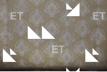 Wall Plaster Painted