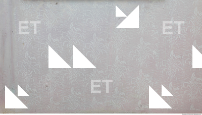 Wall Plaster Painted