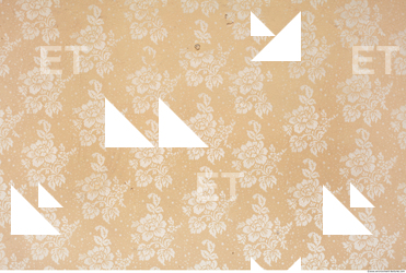 Wall Plaster Painted