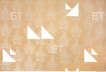 Wall Plaster Painted