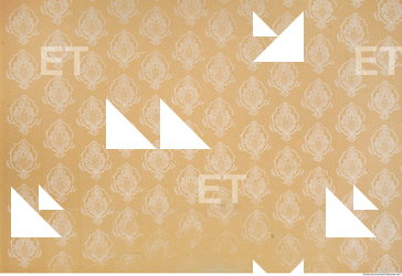 Wall Plaster Painted