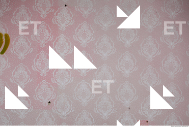 Wall Plaster Painted