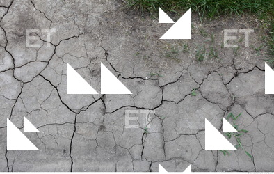 Cracked Soil