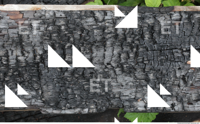 Burned Wood