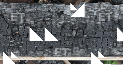 Burned Wood