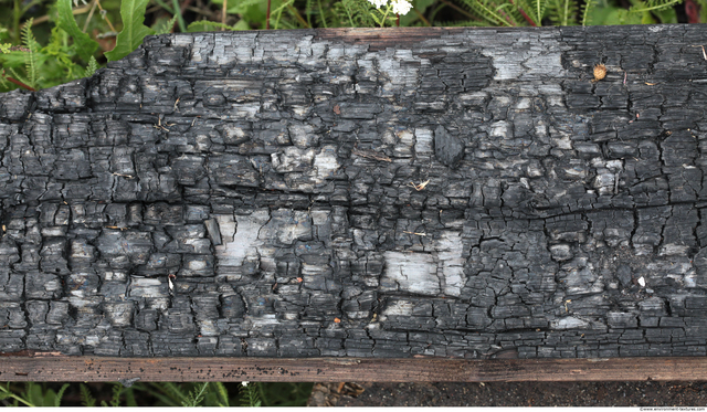 Burned Wood