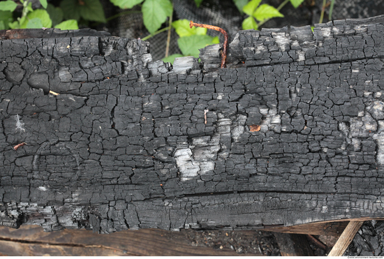 Burned Wood