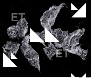 plastic bubble wrap damaged 0020