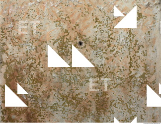 wall plaster dirty 0007
