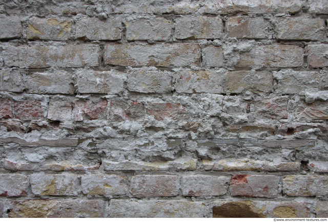 Wall Bricks Plastered