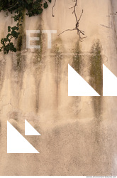 Wall Plaster Dirty