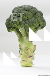 broccoli 0004