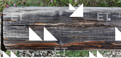 Decayed Wood