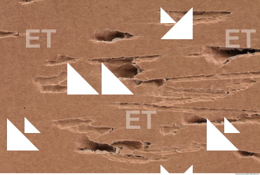 Damaged Cardboard