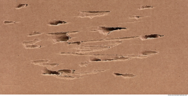 Damaged Cardboard