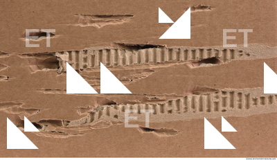 Damaged Cardboard