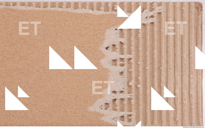 Damaged Cardboard