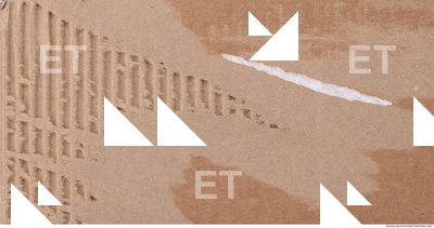 Damaged Cardboard
