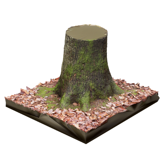 RAW 3D Scan Tree