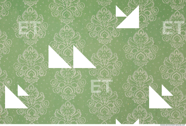 Wall Plaster Painted