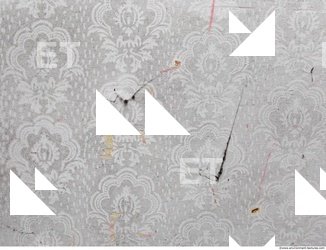 Wall Plaster Painted