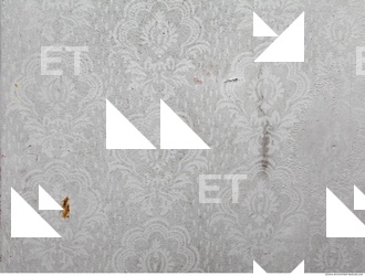 Wall Plaster Painted