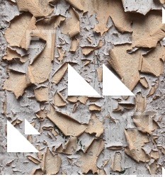 Wall Plaster Paint Peeling