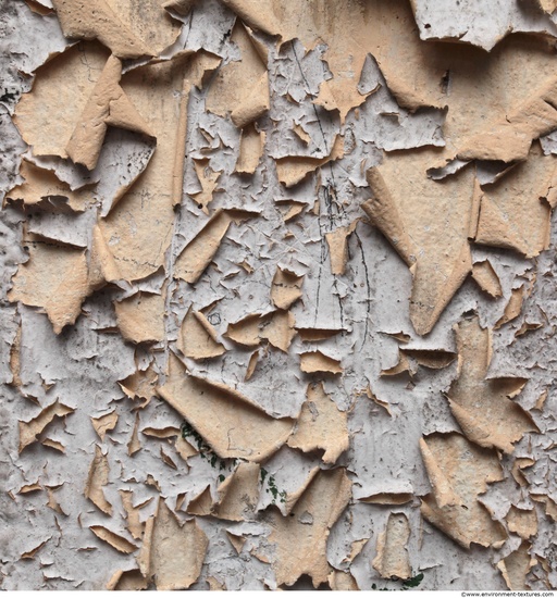 Wall Plaster Paint Peeling