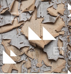 Wall Plaster Paint Peeling