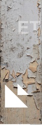 Wall Plaster Paint Peeling