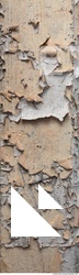 Wall Plaster Paint Peeling