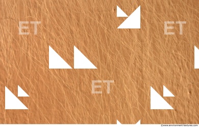 Walls Plaster Damaged