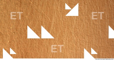 Walls Plaster Damaged